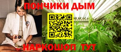 ПСИЛОЦИБИНОВЫЕ ГРИБЫ Аргун