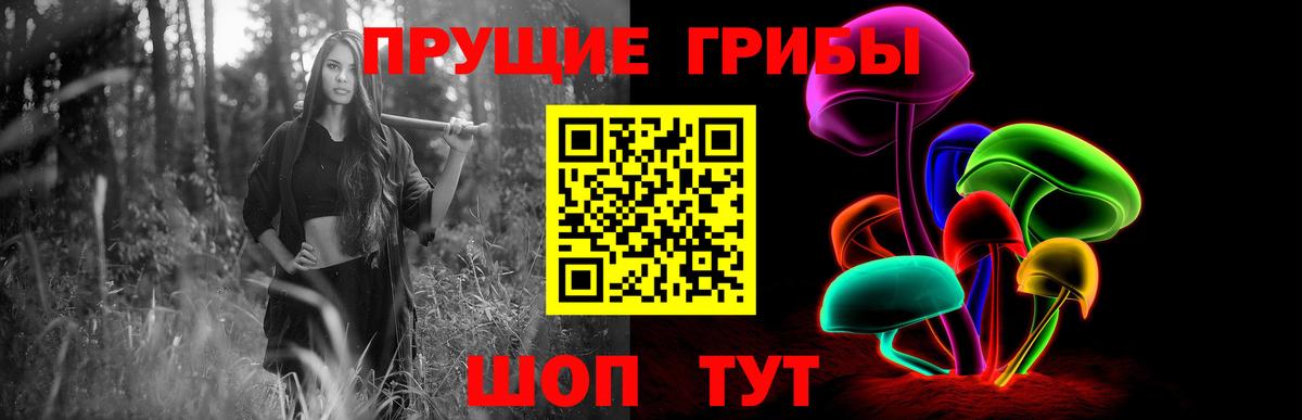 Галлюциногенные грибы GOLDEN TEACHER Бахчисарай